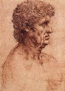 LEONARDO da Vinci Profile of an old man oil